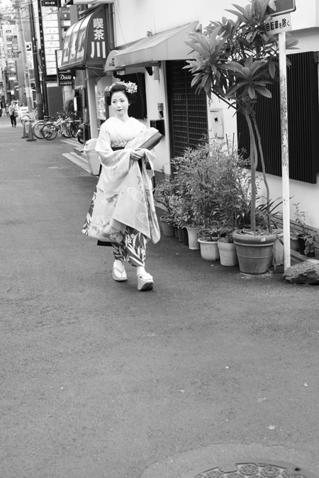 Maiko in Kyoto