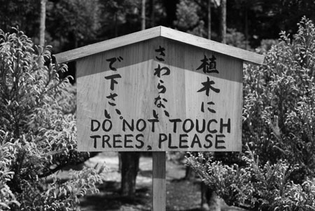 Do NOT touch the trees