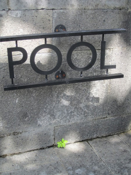 The pool