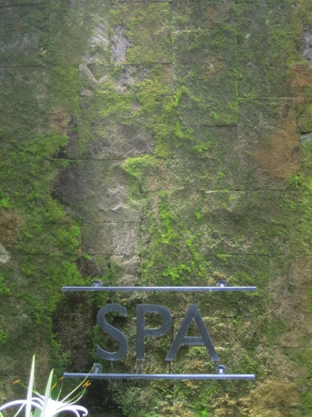 The spa