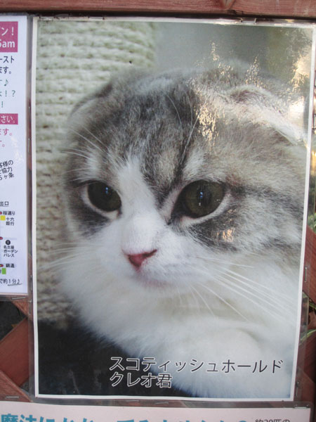 koreo-kun