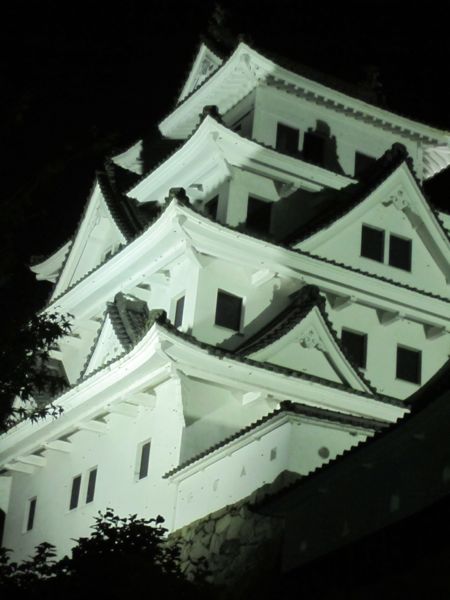 Gujo Castle