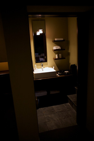 The bathroom where you can't see in the mirror