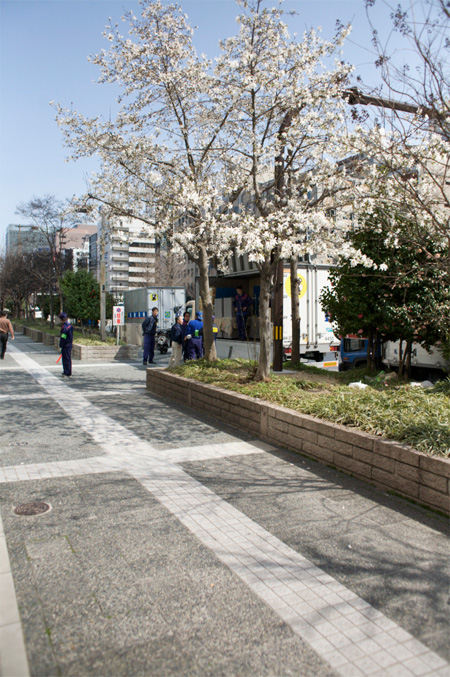 In front my apartment