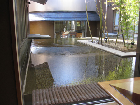 View from the dining room in the morning