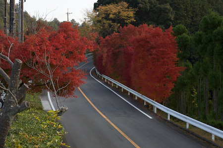 One view along the scenic route in Kyoto