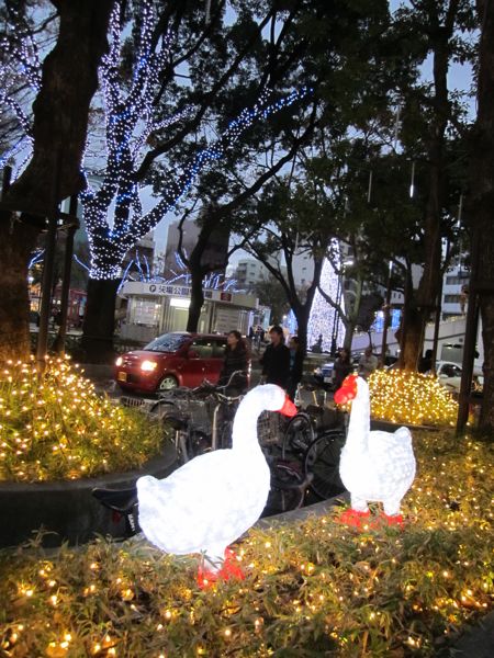 Nadya Park Decorations