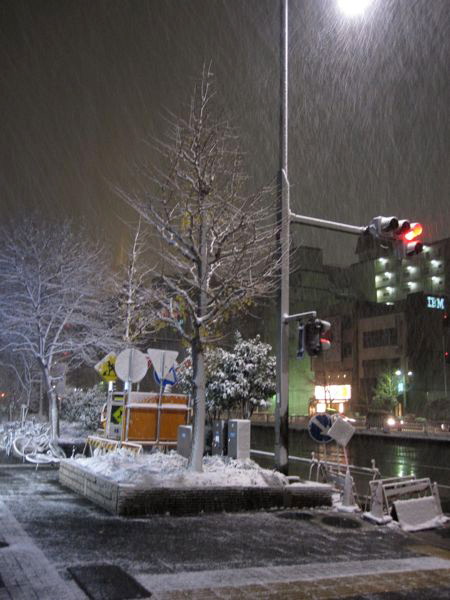 Snowing in Nagoya