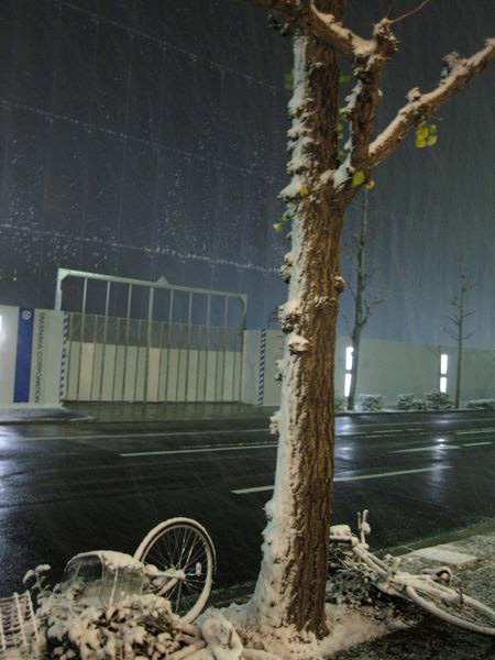 Snowing in Nagoya