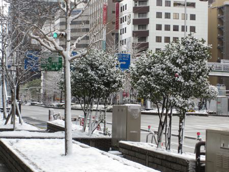 Snow in Nagoya