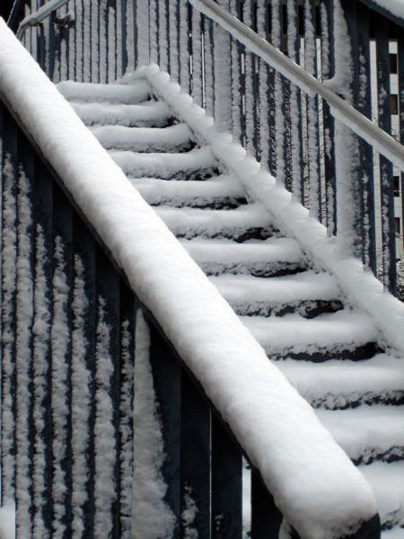 Snow in Nagoya