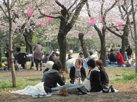 Sakura 2010 - Tsurama Park