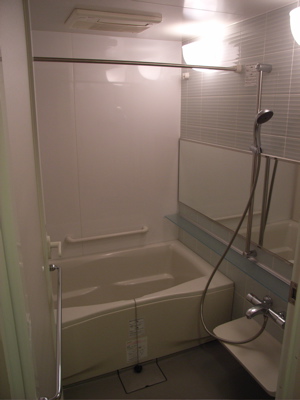 Shower / bath area