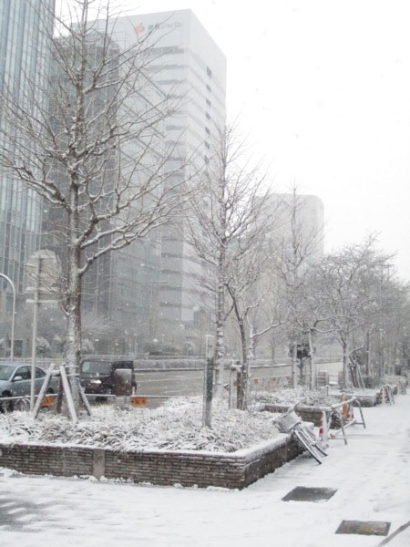 2011 snow in Nagoya