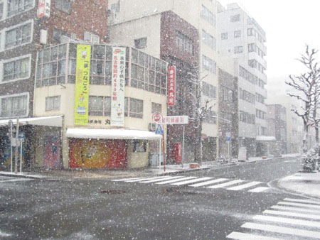 2011 snow in Nagoya