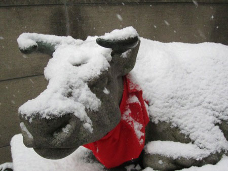 2011 snow in Nagoya