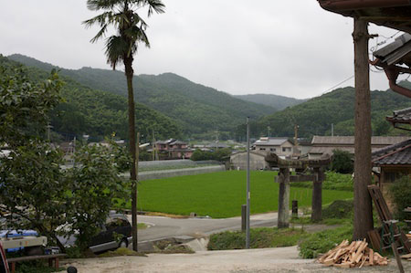 Looking towards the entrance by car