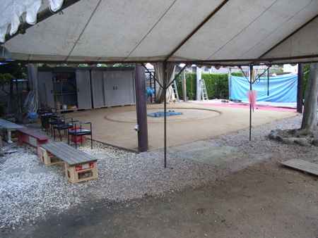 The training ring