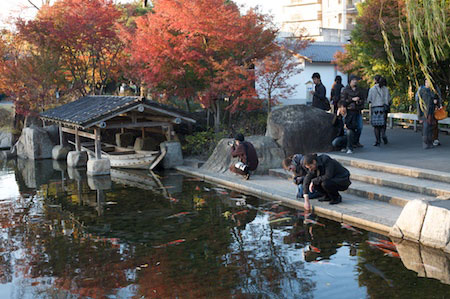 Tokogawaen, Autumn 2010