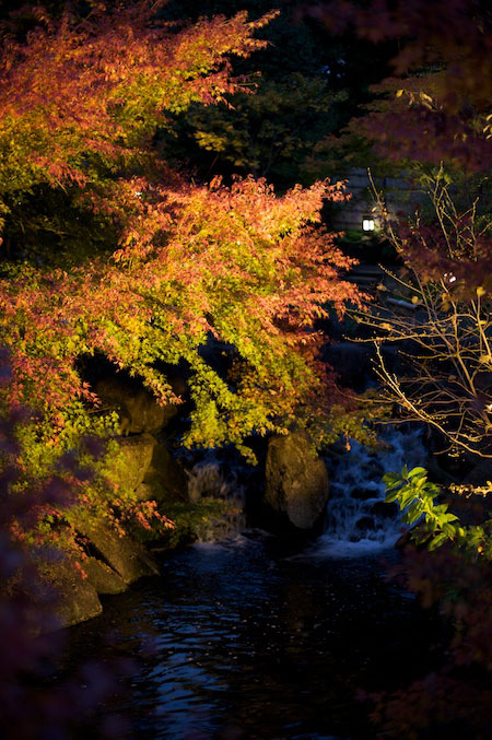 Tokogawaen, Autumn 2010