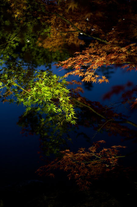 Tokogawaen, Autumn 2010