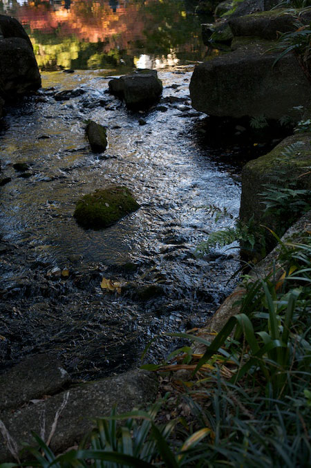 Tokogawaen, Autumn 2010