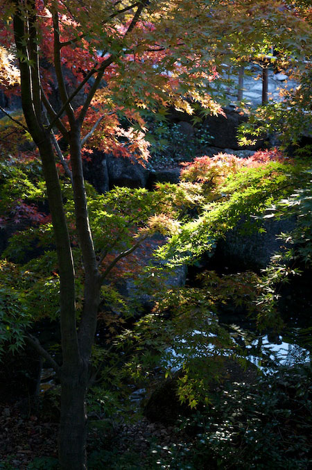 Tokogawaen, Autumn 2010