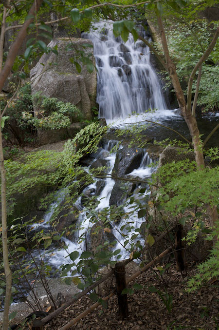 Tokogawaen, Autumn 2010
