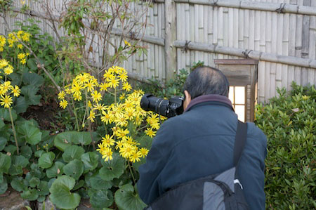 Tokogawaen, Autumn 2010