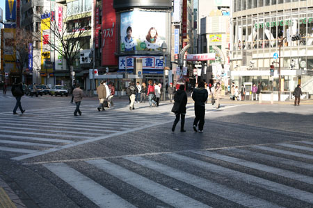 Orderly Crossing at Shibuya, January 1, 2009