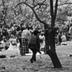 Sakura II, Shinjuku Gyoen, Tokyo, 2002