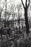 Jewish Cemetary, Prague, 1994