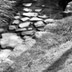 Moss and Brook, Ginkakuji, Kyoto, Japan, 2009