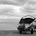 Water Buffalo Carts, Iriomote, Japan, 2010