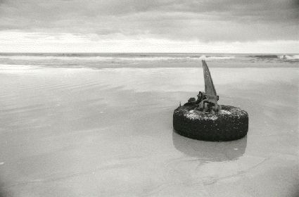 Royal National Parks, NSW, 1992